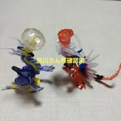 品川さん様確認用　モンコレ　ミライドン　コライドン