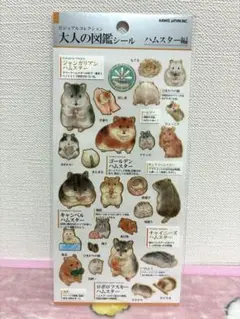 Item thumbnail for item e990beee-a987-4dc5-8796-c8b662e54439