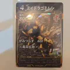 ミイデラゴミムシのサムネイル