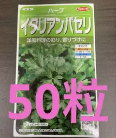 【サカタのタネ】　イタリアンパセリ　50粒