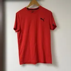 PUMA 赤 朱 Tシャツ M プーマ ジム着 トレーニング 運動