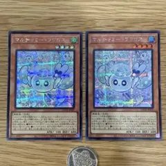 遊戯王　マルチャミーフワロス　シク　シークレット　3枚 遊戯王 マルチミー・フワロス シークレット シク 3枚セット - メルカリ