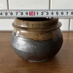 2026年最新】姫野翔太 鉢の人気アイテム - メルカリ