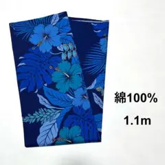 Item thumbnail for item 614b45d2-65eb-4113-ba67-ced85ebec0b6