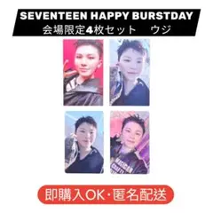 SEVENTEEN セブチ 会場限定 トレカ コンプ ウジ