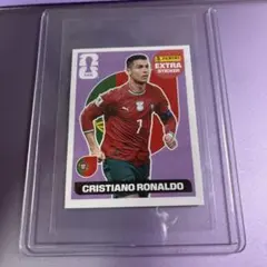 Panini 2006 FIFA World Cup C.Ronaldo - メルカリ