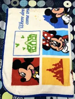 東京ディズニーリゾート ブランケット 膝掛け ミッキー ミニー レア