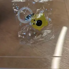 TRUE めじるしアクセサリー