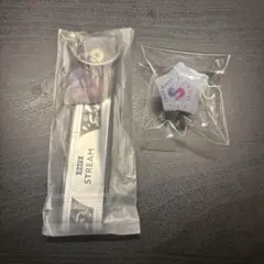 すとふぇす2025 銀テホルダー，リングライト