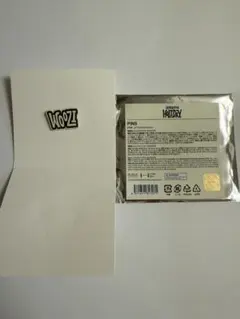 SEVENTEEN HOLIDAY ウジ ピンズ