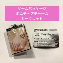 PlayStation ゲームパッケージ　ミニチュアチャーム シークレット 蚊