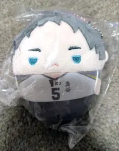 ハイキュー！！くじメイト　ぬいくじD賞　赤葦京治