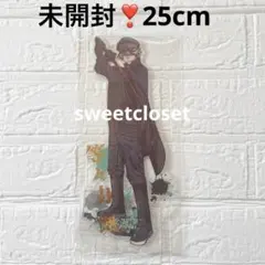 桃源暗鬼 BIGアクリルフィギュア アクリルスタンド 等々力颯 - メルカリ