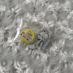僕のヒーローアカデミア ヒロアカ アクリルminiフィギュア 青山優雅