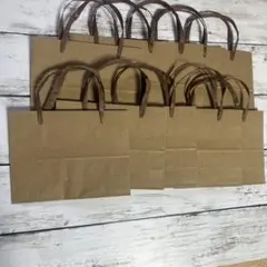 ミニ紙袋 10枚セット クラフト ハンドメイド 小分け プレゼント