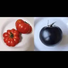 ぶーくん様 リクエスト 2点 まとめ商品