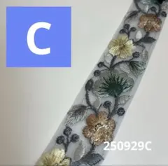 001250929 【C】インド刺繍リボン　3センチ幅　１m