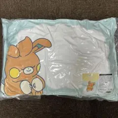 【ポケモン】ピカピカボックス2025 初夢まくら パモ