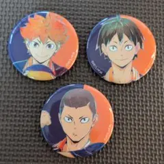 ハイキュー!!トレーディング Ani-Art 第4弾 缶バッジ 日向 田中 山口