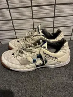 Desporte Tessa Light ID PRO2 - メルカリ