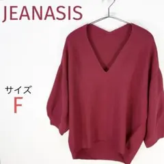 JEANASIS ジーナシスVネックニット ホールガーメント美品❣️フリーサイズ