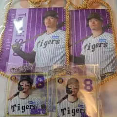 阪神タイガース 佐藤輝明選手 直筆サインボール 2025年