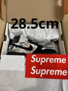 Supreme Nike SB Dunk Low Rammellzee BOX