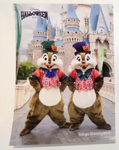 ディズニーランド ハロウィーン チップ&デール スペフォ 写真 Dハロ