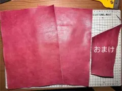 Item thumbnail for item a8235503-e644-4b3a-a439-3c907c003c10