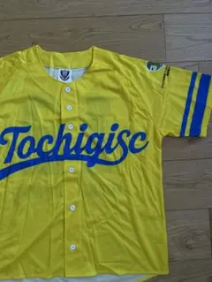 2026年最新】栃木SC シャツの人気アイテム - メルカリ