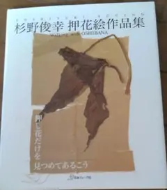 花愛夢　押し花絵作品集　飯塚美智子 Amazon.co.jp: 花陽詩: 飯塚美智子押し花絵作品集 : 飯塚 美智子: 本