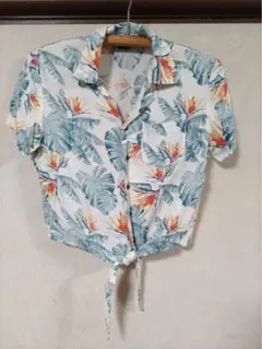 Item thumbnail for item 3512a0f9-df9e-46f4-a545-a8df1647da48