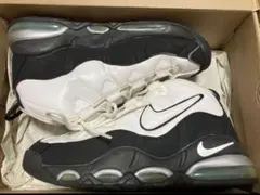 NIKE エアマックスアップテンポ95(2010年復刻版)