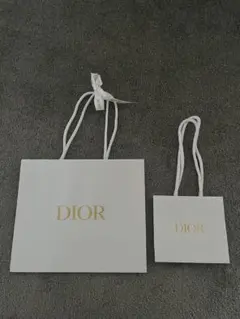 DIOR ショップ袋　2枚組