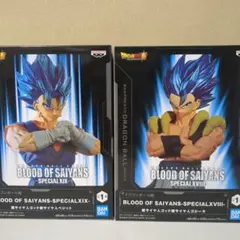 ベジット & 超サイヤ人ゴッドSSベジット セット S.H.Figuarts スーパーサイヤ人ゴッドスーパーサイヤ人ベジット