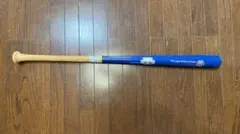 DESCENTE (上達屋)トレーニングバット