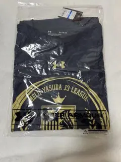 Item thumbnail for item c7483407-298c-4b47-bdba-98ef80ff1118