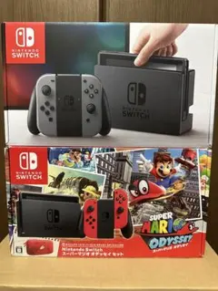 ニンテンドースイッチ　空箱　ドッグ　マルチケース