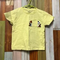 Item thumbnail for item 52ac5ddf-2502-4c09-9820-5459511f00cb