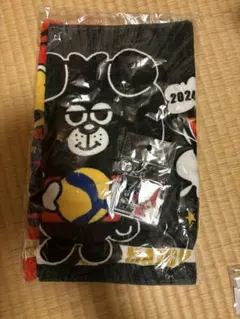 ウルフドッグス名古屋　サントリーサンバーズ　セットのサムネイル