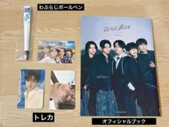 WILDBLUE　オフィシャルブック+トレカ+ペン　セットのサムネイル