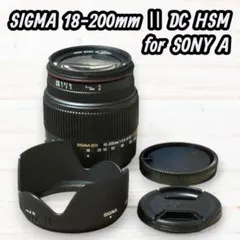 SIGMA ズームレンズ 18-125mm DC HSM ソニーA用 #217 - メルカリ