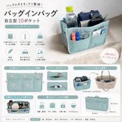 バッグインバッグ 自立型 10ポケット 軽量 大容量 撥水　ライトグリーン　新品のサムネイル