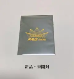 RAYS チケット風カード 岩本照 Snow Man