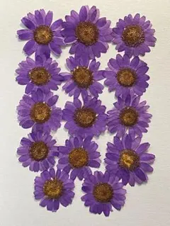 Item thumbnail for item 0625e2d6-d111-46d7-9133-8eceaf9c2bf5