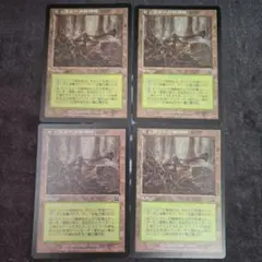 MTG ヒッコリーの植林地 Hickory Woodlot MMQ 英語 4枚 - メルカリ