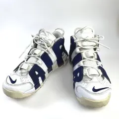 Item thumbnail for item 64221535-6cde-4b1d-afbe-31d9058c5c27