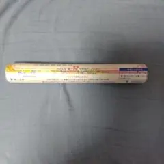 2026年ディズニーカレンダー 6枚物 第一生命