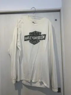 90s Hanes ダリ アートロンT 長袖 ヴィンテージ M - メルカリ