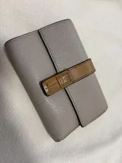 希少カラー】LOEWE バーティカルウォレット スモール マーブルグリーン